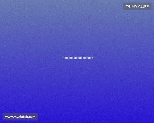 ATP赛事主管引领职业网球巡回赛创新与战略决策艺术 ATP赛事主管引领职业网球巡回赛创新与战略决策艺术