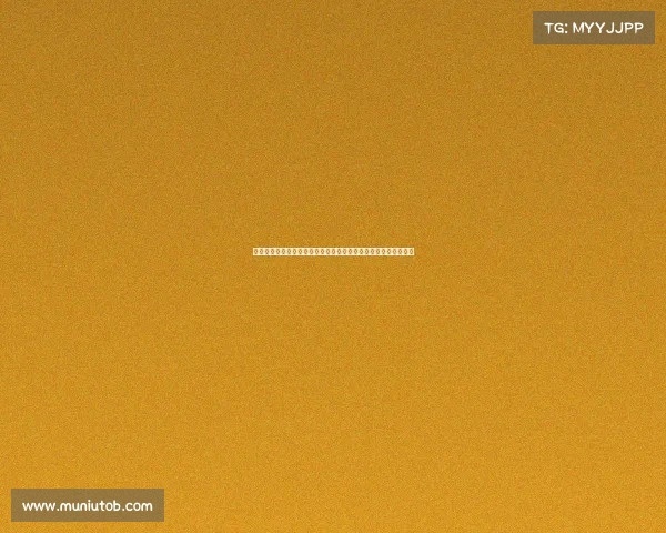 一场难忘的友谊赛事件展示了体育如何在不同文化间架起友谊桥梁