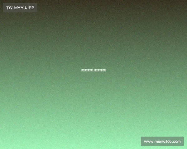 体育赛事抽签软件,体育比赛抽签软件