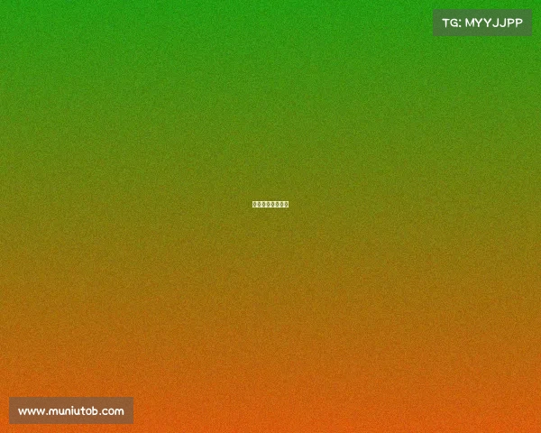 法国未来赛事预测