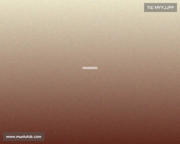 网球赛季是怎么安排的