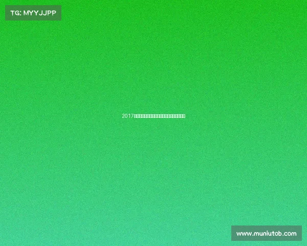 2017铜牌赛事激情绽放荣耀永存精彩回顾难忘时刻