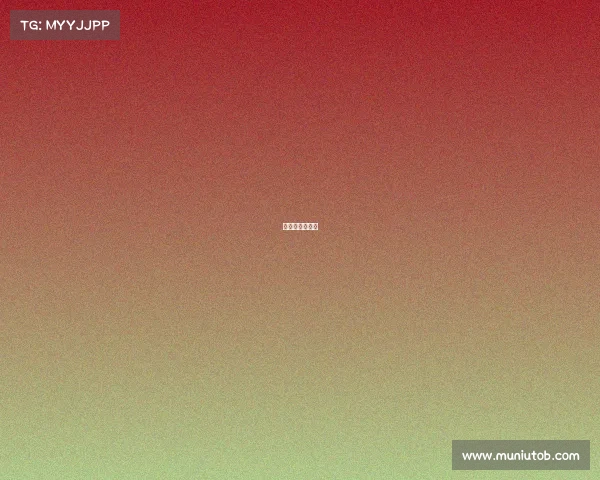 互联网比赛全称